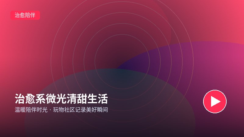 困困兔